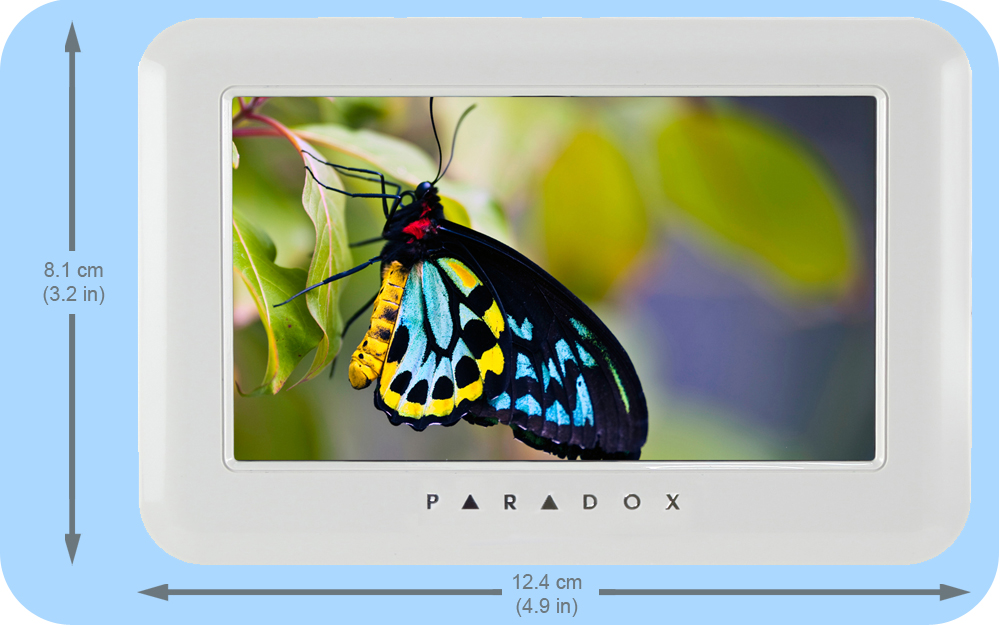 paradox